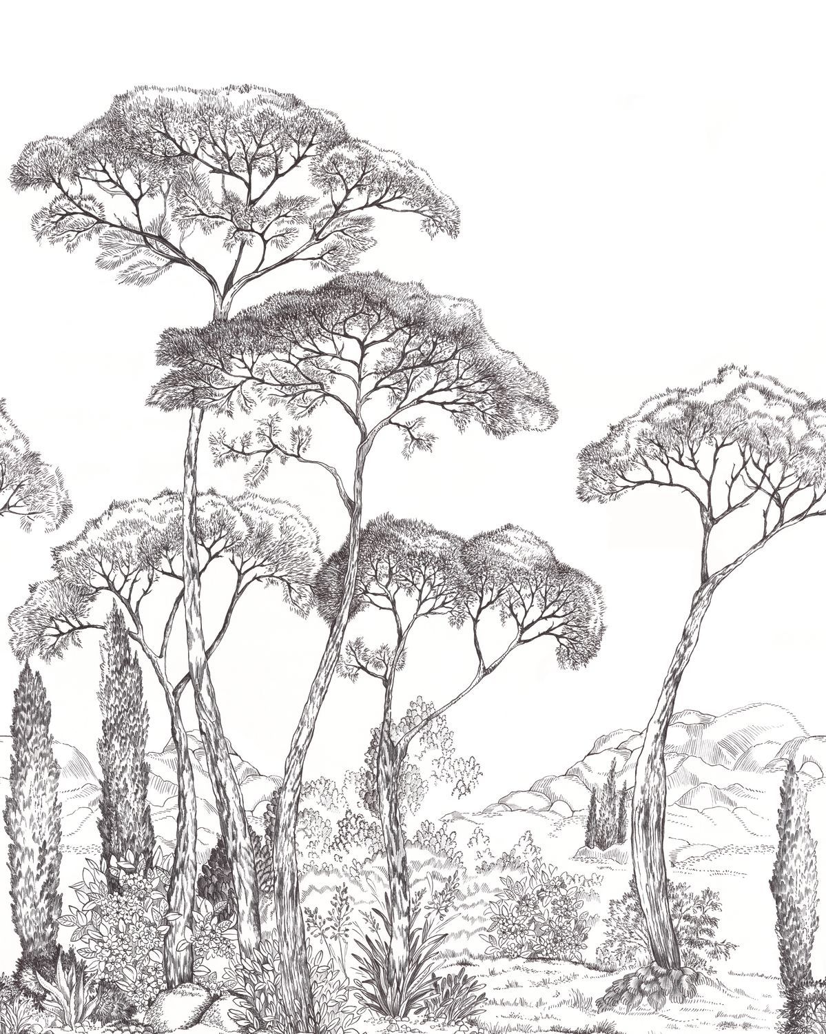 FOREST OF PINEAS Wallpanel
