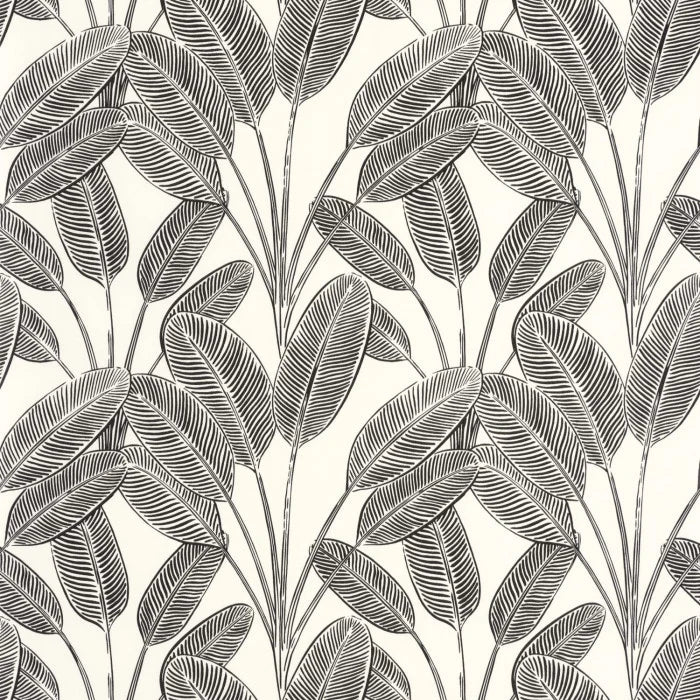 LITTLE BANANA Wallpaper