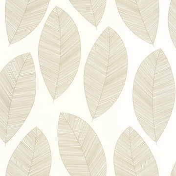 White/Gold