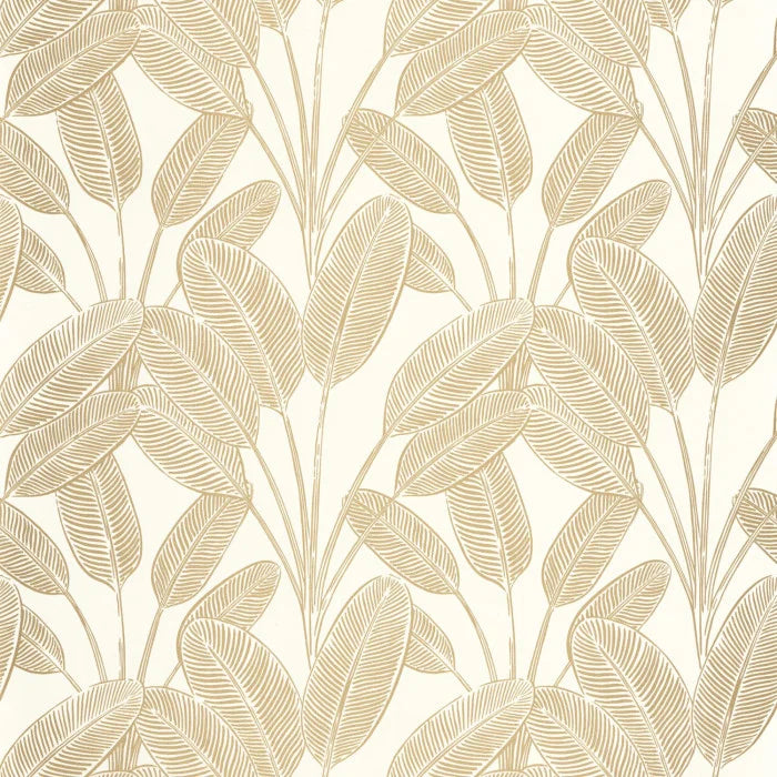 LITTLE BANANA Wallpaper