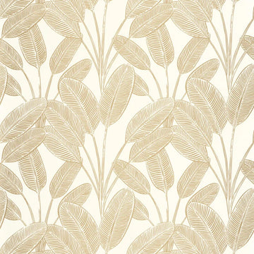 White/Gold