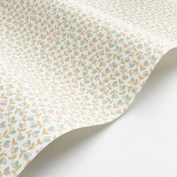 DARWIN TULIP Wallpaper