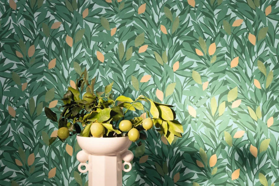 CASSIS Wallpaper