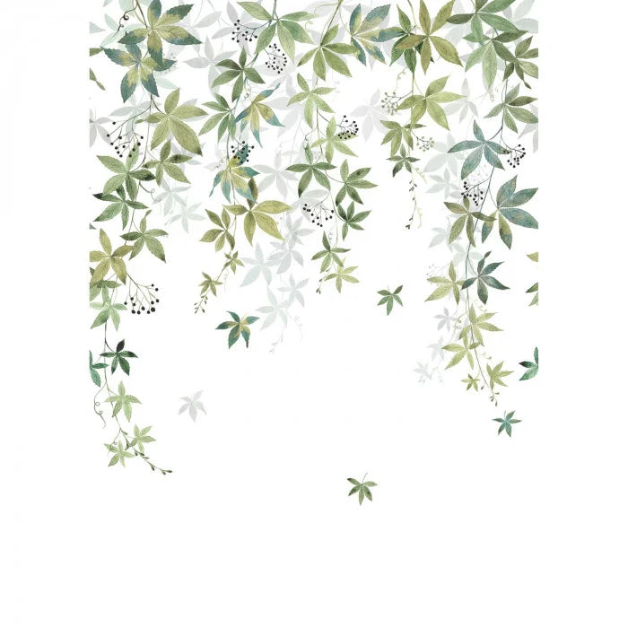 VIGNE EN FLEUR Wallpanel
