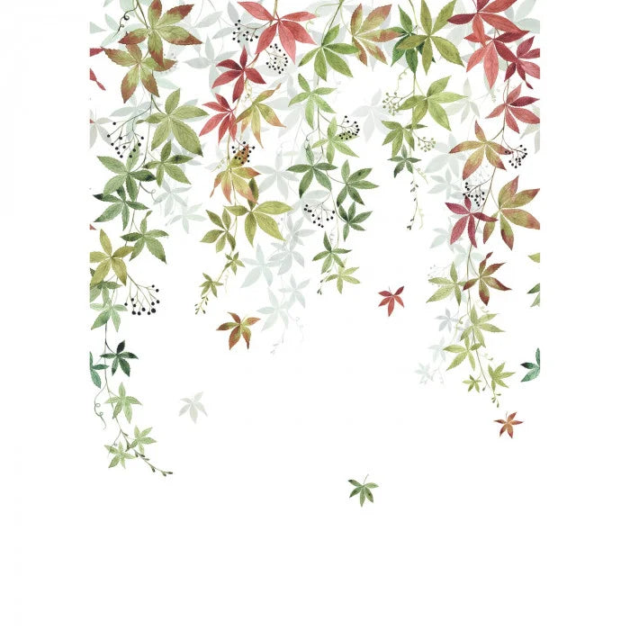 VIGNE EN FLEUR Wallpanel