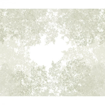 Lichen Green