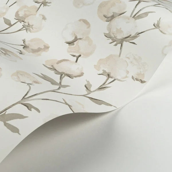 COTTON FLOWER Wallpaper