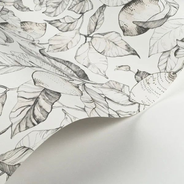 LEMON TREE Wallpaper