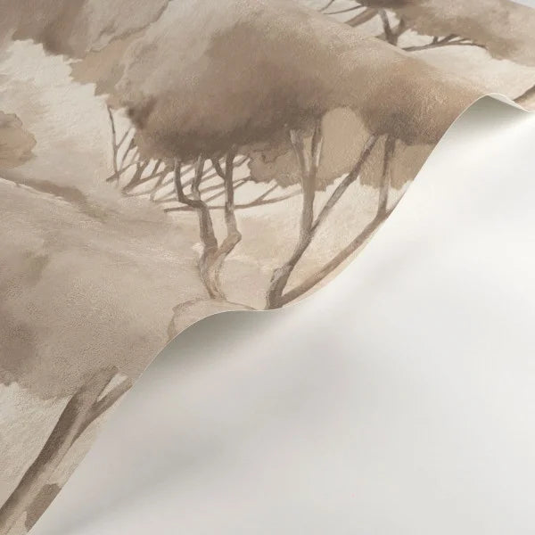 FORET DES LANDES Wallpaper