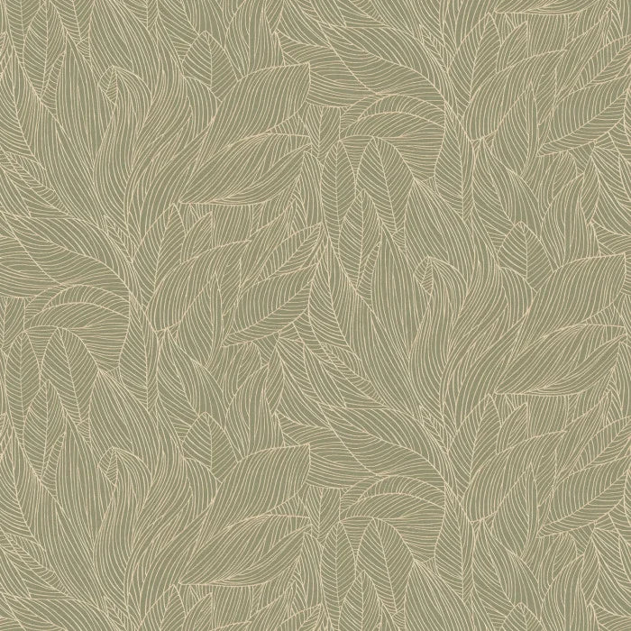 HOSTA Wallpaper