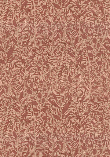 Terracotta