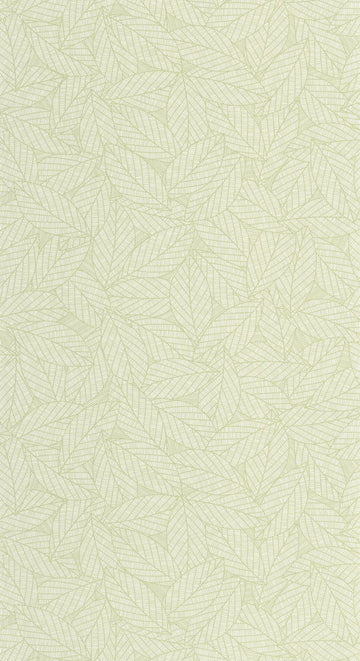 Almond Green