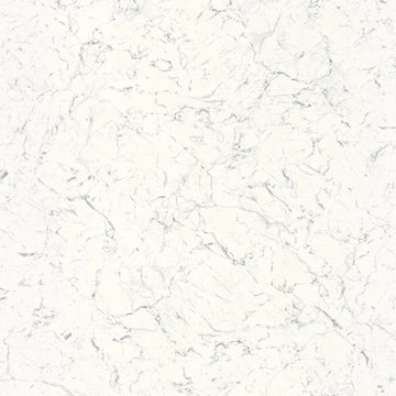 Alabaster White