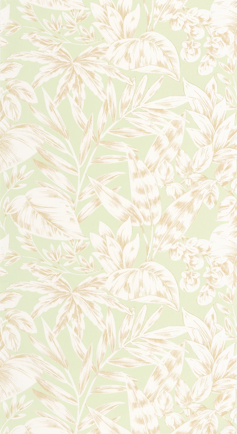 KALEA Wallpaper