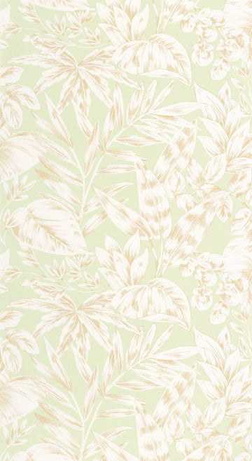 Almond Green