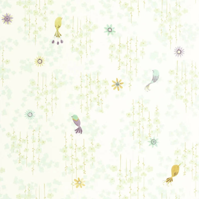 TROPICAL BIRDS Wallpaper