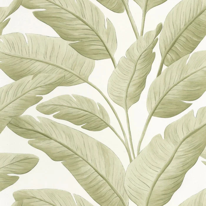 TROPICALIA Wallpaper