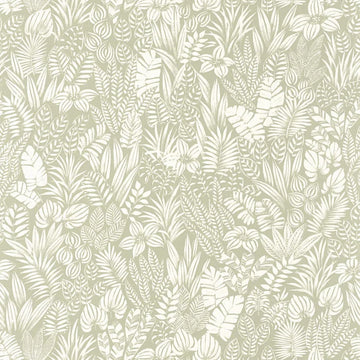 Aloe Green