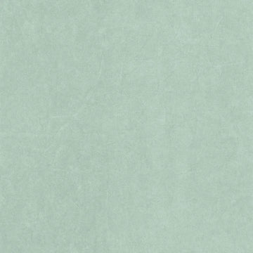Aloe Green