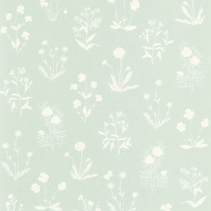 HERBIER Wallpaper