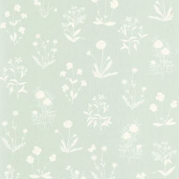 Aloe Green