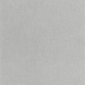 Alpaca Gray