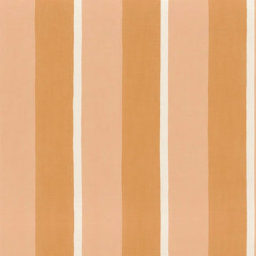 Apricot/Peach Skin