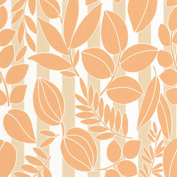Apricot/Sand
