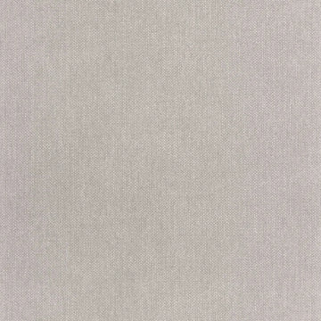 Ash Gray