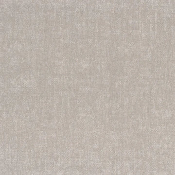 Ash Gray