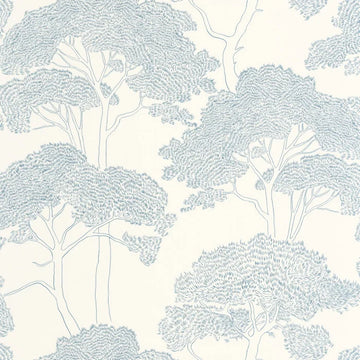 Azure Blue White