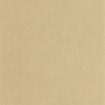 Beige Chamois
