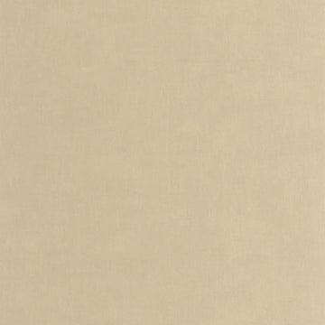 Beige Chamois