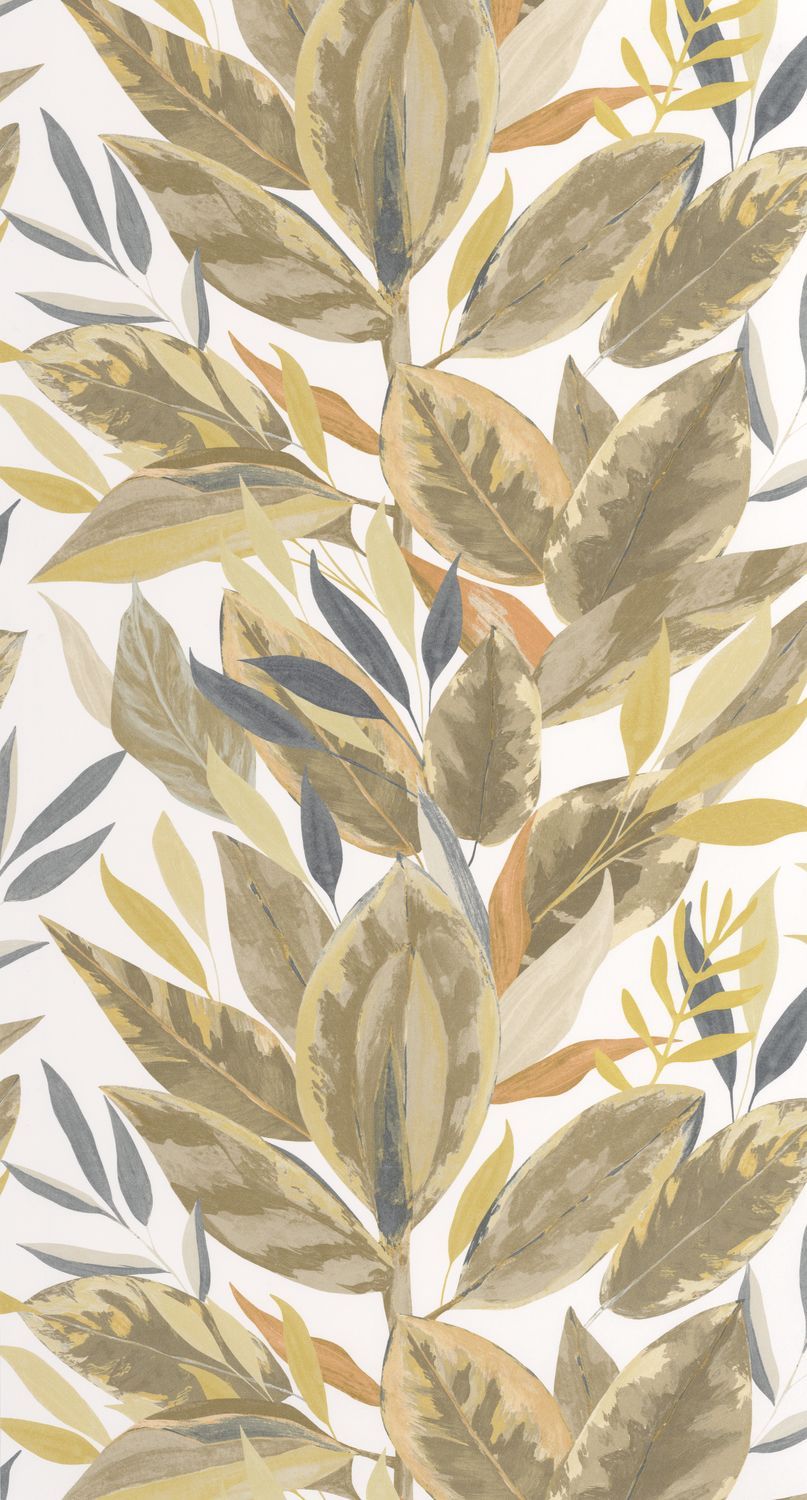 FICUS Wallpaper