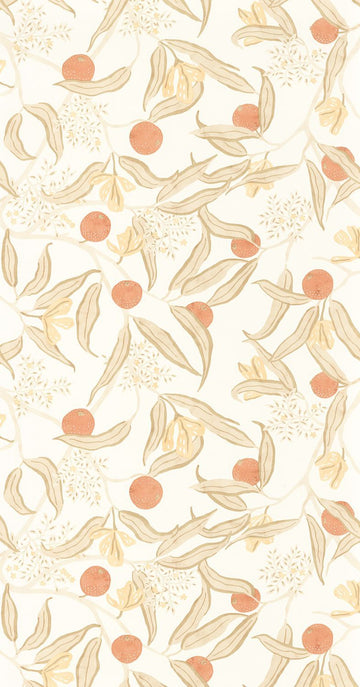 Beige Orange