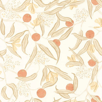 Beige Orange