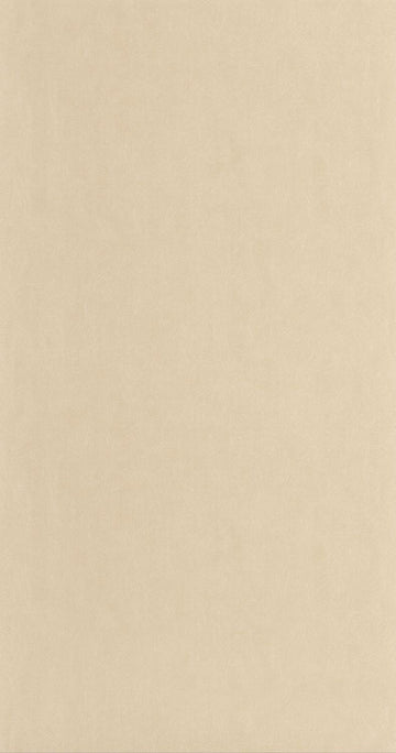 Beige Sand