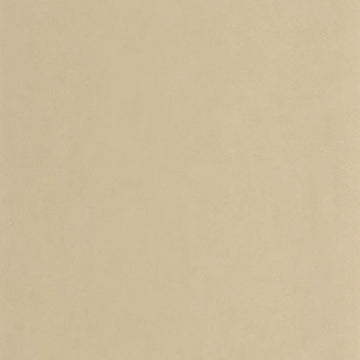 Beige Sand