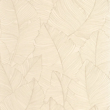Beige Sepia