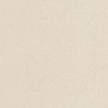 Beige Smoke