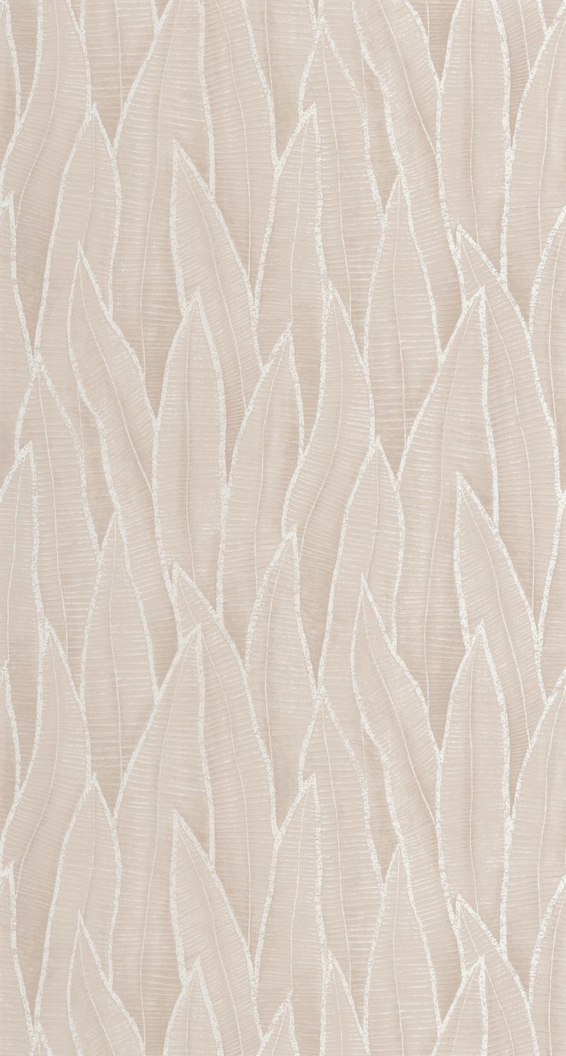 SANSEVIERIA Wallpaper