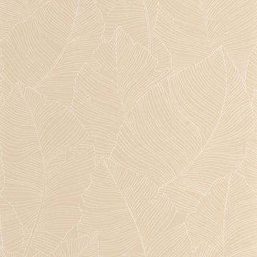 White/Beige