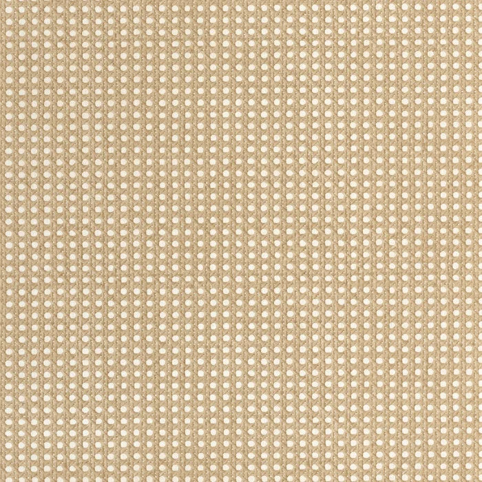 CANNAGE Wallpaper