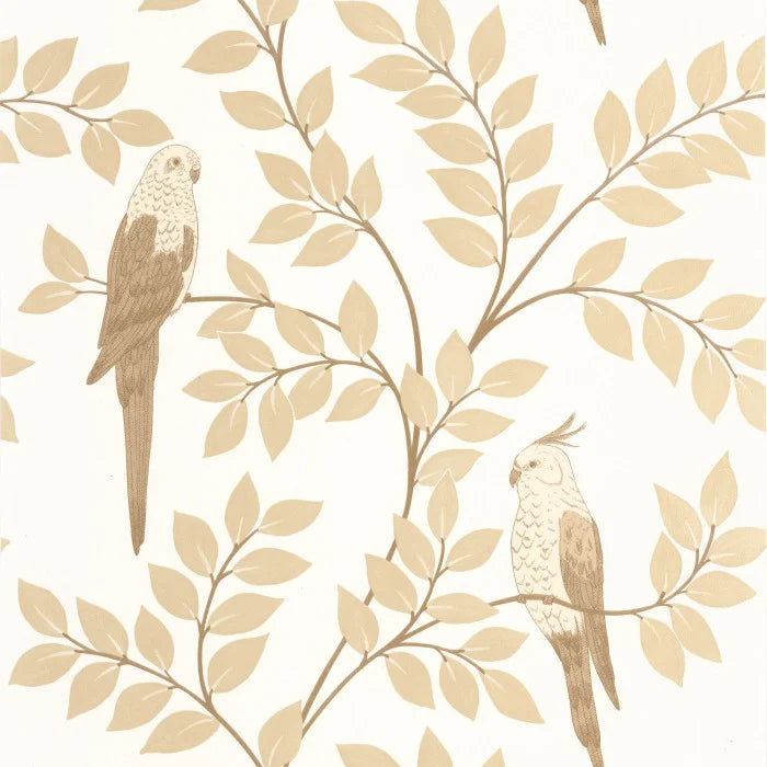 EQUATEUR Wallpaper