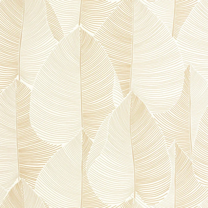 NUANCE Wallpaper