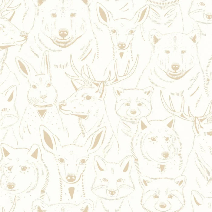 S 'AMUSER Wallpaper