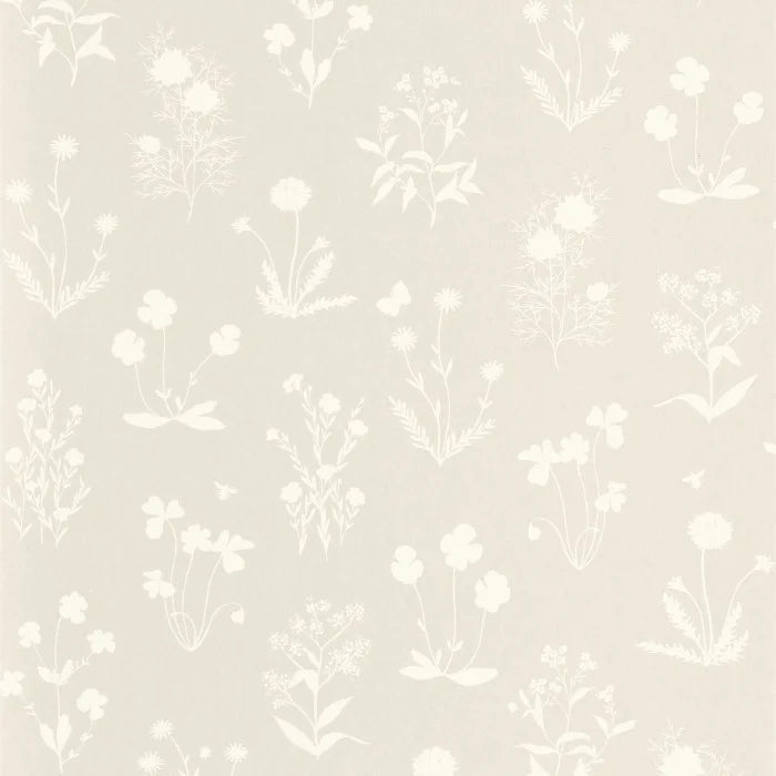 HERBIER Wallpaper
