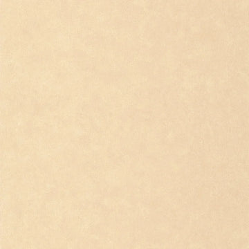 Beige Sand