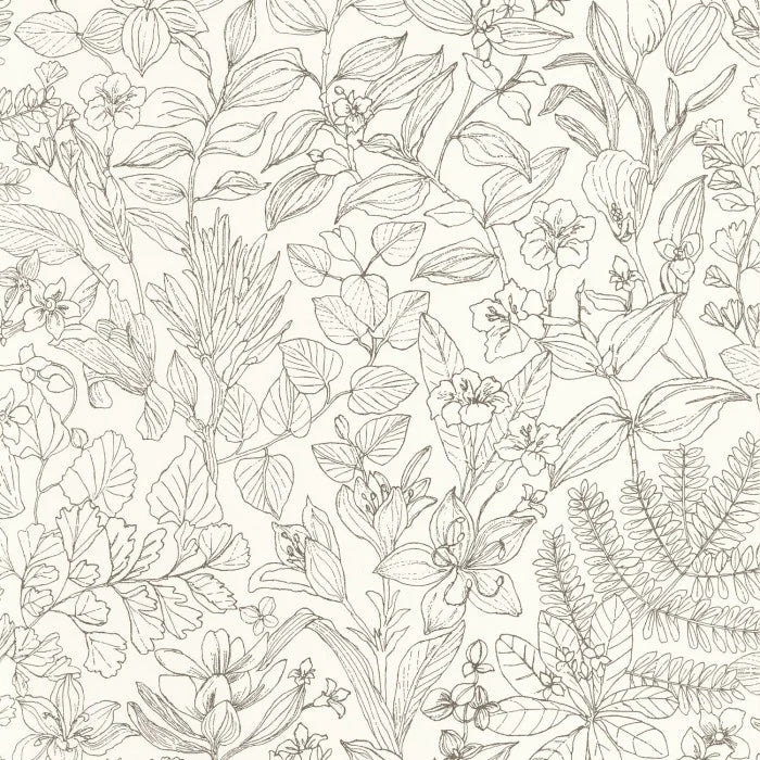 ESQUISSE Wallpaper