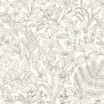 Black Engraving